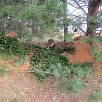 Задачи выполнять готовы