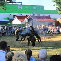 Праздник, посвященный Дню освобождения Пинска