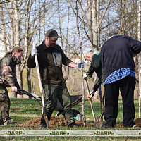 Сотрудники Военного информационного агентства «Ваяр» приняли участие в республиканском субботнике