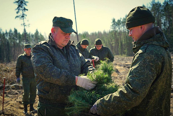 Военнослужащие 36-й дорожно-мостовой и 65-й автомобильной бригад приняли участие в акции «Дай лесу новае жыццё!»