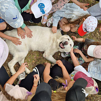 Началась работа военно-патриотических лагерей