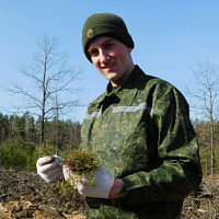 «Неделя леса»