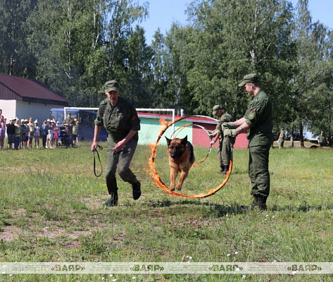 Военные кинологи посетили воспитанников школьного лагеря Колодищанской средней школы