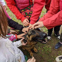 Кинологическому центру Вооружённых Сил — 29 лет