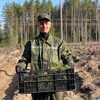 Армия не остаётся в стороне