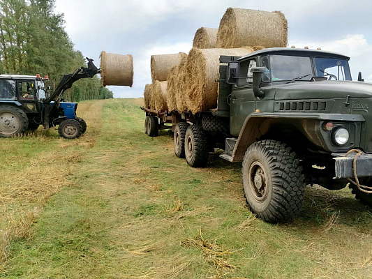 Военнослужащие продолжают оказывать помощь в уборке урожая