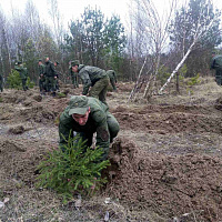 Сделали благородное дело