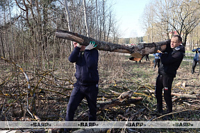 Войска Гродненского гарнизона принимают активное участие в республиканском субботнике