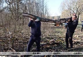 Войска Гродненского гарнизона принимают активное участие в республиканском субботнике
