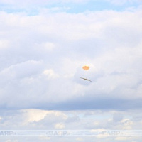 Бой – учебный, опыт – реальный