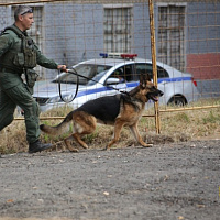 Второй этап комплексной проверки органов управления территориальной обороны Минска