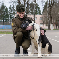 В кинологическом центре Вооружённых Сил состоялся торжественный выпуск курсантов