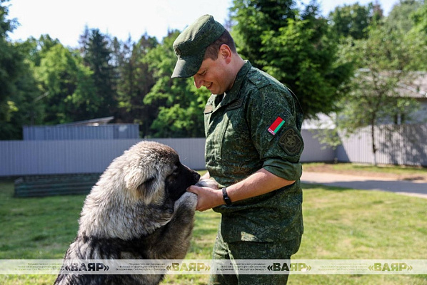 Военнослужащие кинологического центра Вооружённых сил со своими воспитанниками