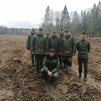 Лес – это наше богатство!