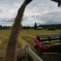 Военнослужащие продолжают оказывать помощь в уборке урожая