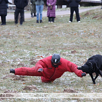 На «Линии Сталина» прошли праздничные мероприятия, посвящённые Дню ракетных войск и артиллерии