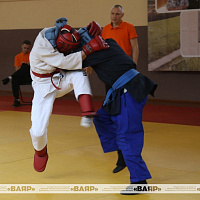  Памяти курсанта Дмитрия Гвишиани