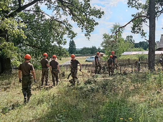 Белорусские военные помогают ликвидировать последствия стихийного бедствия в Лельчицком районе