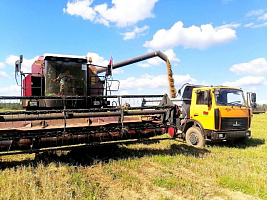 Военнослужащие 377 зрп оказывают помощь хлеборобам Сенненского района