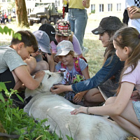 На базе 38 одшбр продолжает работу спортивно-патриотический лагерь