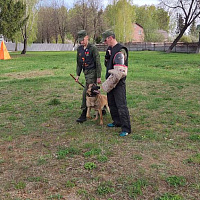 Продолжается подготовка белорусской сборной к конкурсу «Верный друг»
