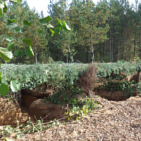 Военные инженеры – всегда впереди!