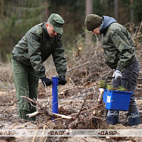 Военнослужащие тыла Вооружённых Сил присоединились к республиканской добровольной акции «Лес! Добро! Порядок!»