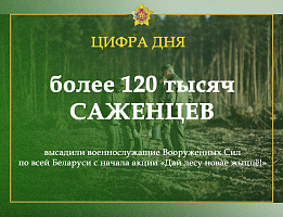 Более 120 тысяч саженцев высадили военнослужащие Вооружённых Сил по всей Беларуси