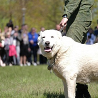 В столичном парке Победы прошли торжественные мероприятия	