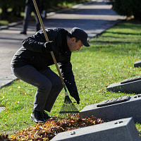 Курсанты военного факультета в БГУИР провели субботник 
