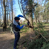 Работать вместе – веселей!