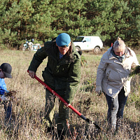 Брестские десантники высадили более 2000 саженцев ели в рамках акции «Дай лесу новае жыццё!»