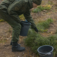Белорусские военные продолжают участвовать в республиканской акции «Дай лесу новае жыццё!»