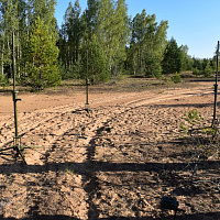 Совершенствуя навыки