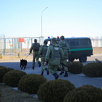 Задачи выполняются