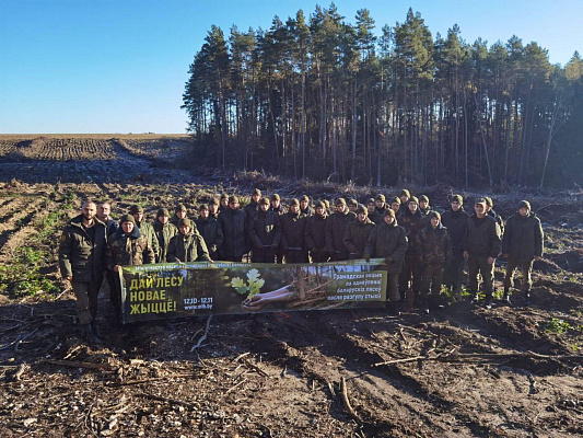Военнослужащие Вооружённых Сил принимают участие в республиканской акции «Дай лесу новае жыццё»