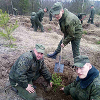 Сделали благородное дело