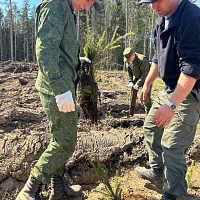 Военнослужащие инженерного полка СЗОК приняли участие в акции «Дай лесу новае жыццё»
