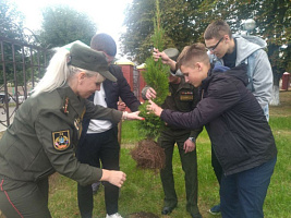 С наступающим праздником, Беларусь!