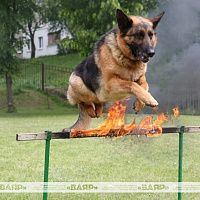 Торжественное открытие военно-патриотического клуба «Верный друг»