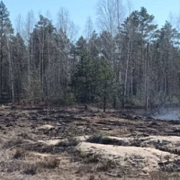 Артиллеристы не подвели