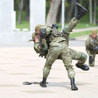 К службе готовы