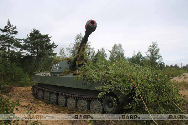 Огонь, батарея!