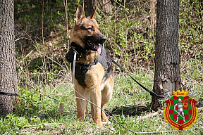 Впереди — «Верный друг» (видео)