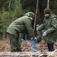 Военнослужащие тыла Вооружённых Сил присоединились к республиканской добровольной акции «Лес! Добро! Порядок!»