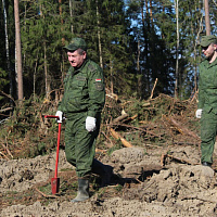 Белорусские военнослужащие продолжают принимать участие в посадке леса