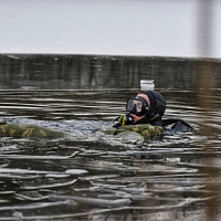 Покорители водной стихии