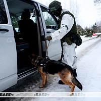Белорусские военнослужащие продолжают выполнять задачи по усилению охраны госграницы