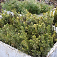 Дело – нужное, польза – общая