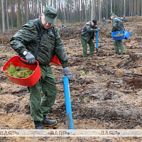 Военнослужащие Вооруженных Сил Беларуси участвуют в добровольной общественной акции «Лес! Дабро! Парадак!»